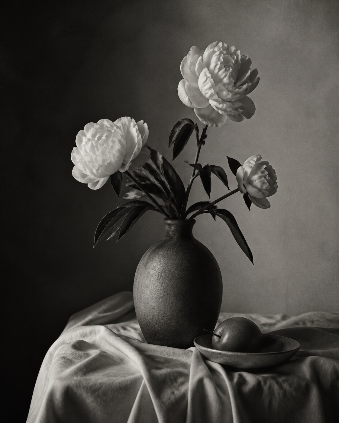 photograph still_life monochrome